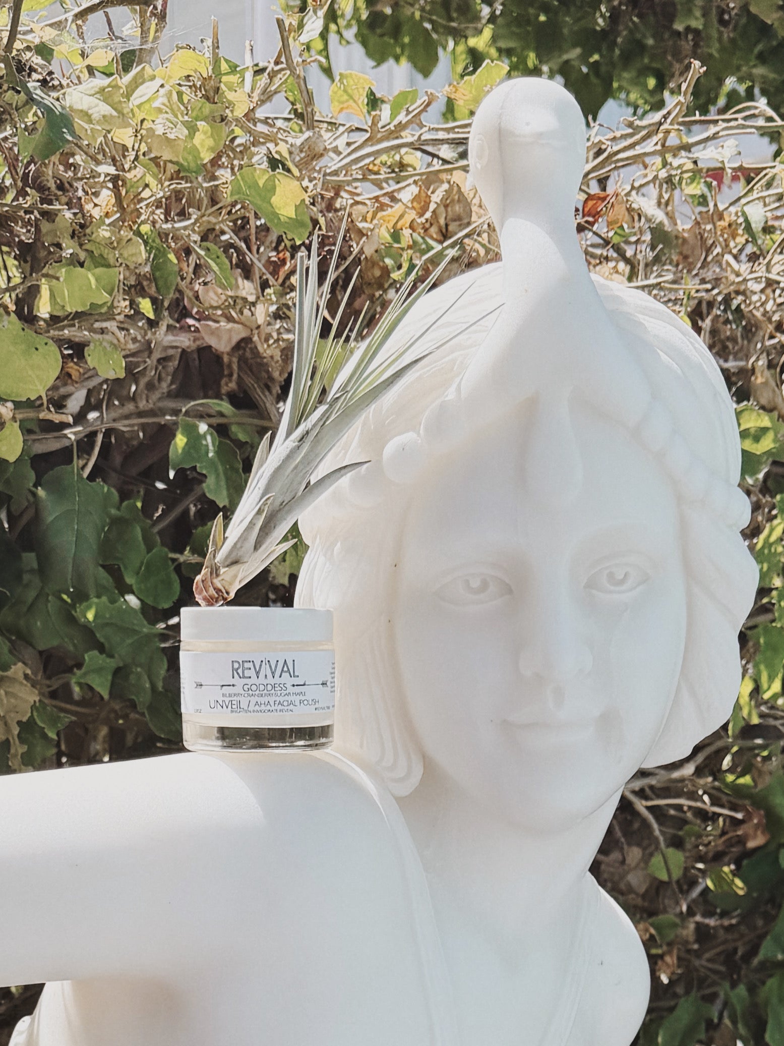 GODDESS UNVEIL AHA FACIAL POLISH