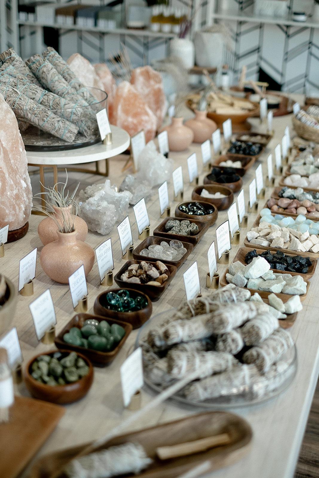 Display of various rocks, crystals, and minerals on a table with small signs indicating their names.