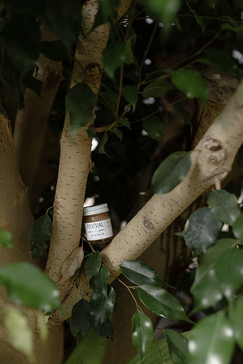 ROSE & VANILLA + SUGAR LIP SCRUB